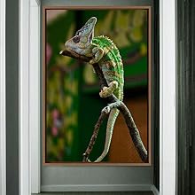 signwin Framed Canvas Wall Art Reptile Contemporary Dramatic Hallway Iguana Multicolor Photography Reptiles - 24x36 inches