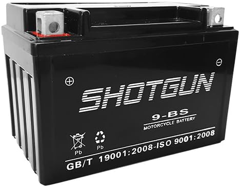 Replacement Battery for 2009-08 Hyosung MS3-250 BTX9-BS 250cc 1 YEAR WARRANTY