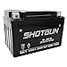 YTX9-BS Sealed ShotGun Powersport Battery for Honda EU3000 Generator 0-2011