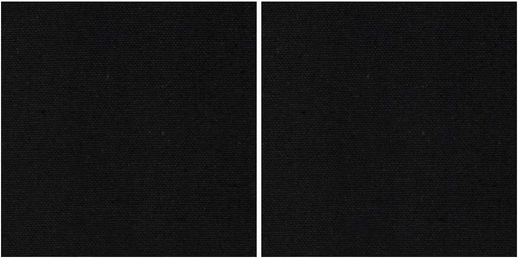 James Thompson 9.3 oz. Canvas Duck Black (Тwo Рack)