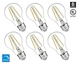 Hyperikon A19 LED Vintage Filament Bulb, Dimmable, 5W (40W Equivalent), 500 lumen, 2700K (Warm White), Omnidirectional, Medium Base (E26), IC Driver, CRI 80+, 120v, UL-Listed - (Pack of 6)