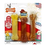 Nylabone Flavor Frenzy BBQ Chicken, Corn and Ice Cream Dog Chew Toys