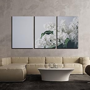 3 Piece Canvas Wall Art - White Flowers - Modern Home Art Stretched and Framed Ready to Hang - 16"x24"x3 Panels