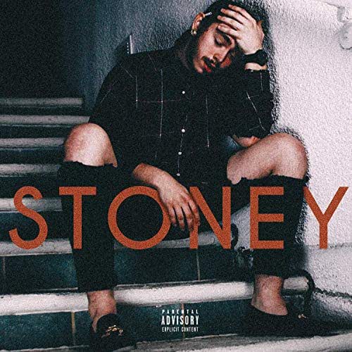Stoney Post Malone Print Poster Decor Gift