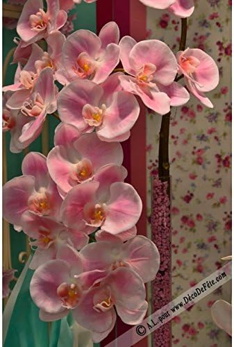 Dpi 1 Rama De Orquideas Lili Rosa Amazon Es Hogar