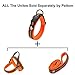 PETTOM Martingale Dog Collar for Small Medium Large Dogs, Reflective Chain Dog Training Collar with Quick Release Buckle, Adjustable Steel Nylon No Pull Pet Collar for Dog