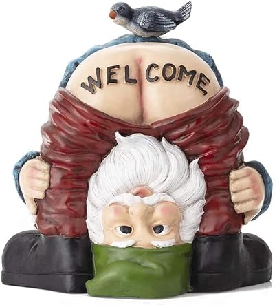 Hxeilzge Welcome Garden Gnomes Ornaments Polyresin Outdoor Statue