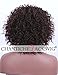 Chantiche Natural Brown #4 Short Curly Wigs for Women Cheap Price and Heat Resistant/OK Synthetic Wig (GL-0102)
