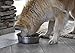 Our Pets Durapet Premium Rubber-Bonded Stainless Steel Dog Bowl 4.5 Quart, 13 Cups, 10.9