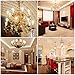 SHINE HAI Candelabra LED Bulbs 40W Equivalent,3000K Warm White Decorative Candle Light Bulb E12 Base, Non-Dimmable Chandelier B11 LED Light Bulbs, Pack of 12