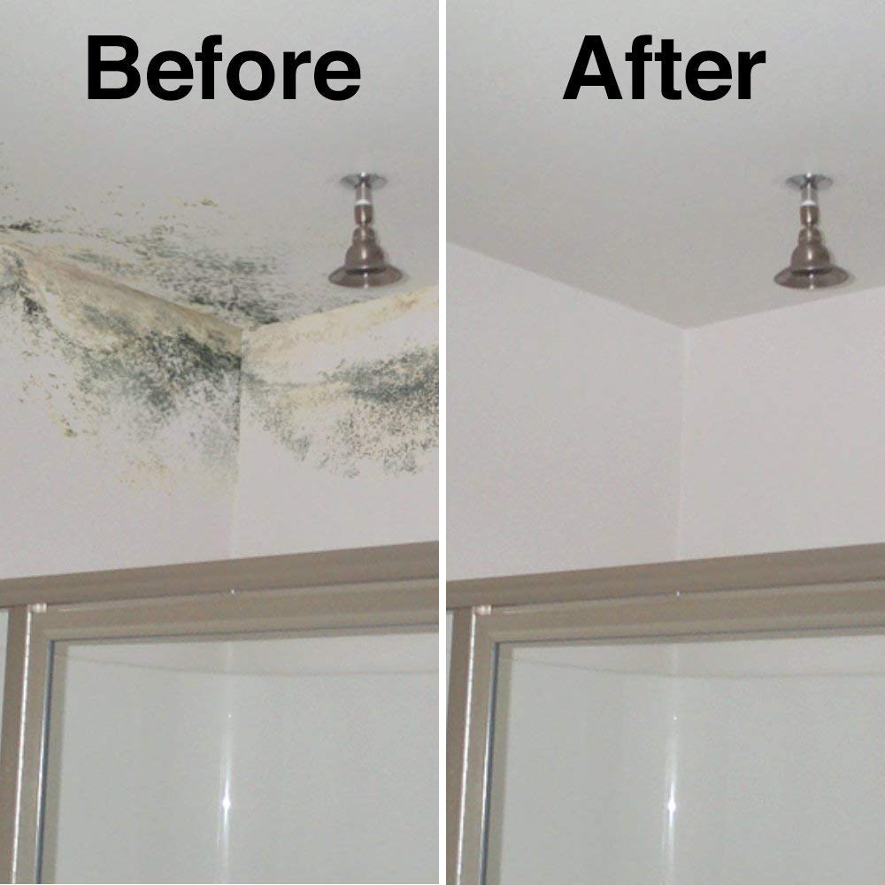 Hg Mould Remover Foam Spray The Most Effective Black Mould