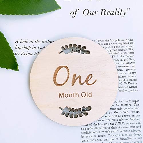 Ins Scandinavian Baby Wind Birth Month Days Birthday Memorial Milestone Card Neonatal Full Moon Photography Leaves Birth Card Leaves One Amazon Ae