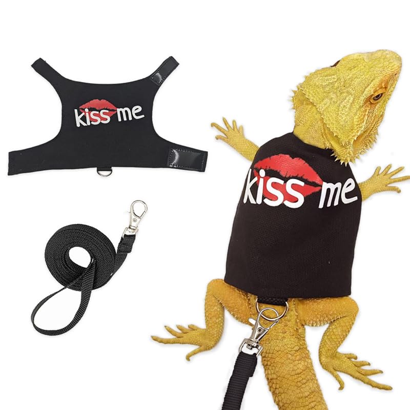CQJ Bearded Dragon Leash and Harness Adjustable - Bearded Dragon Leash and Harness Set with Lizard Luminous Leash for Amphibians Chameleons Small Pet Animals Outdoor Safety Walking（Black）