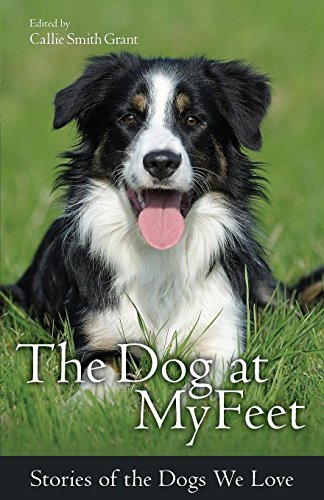 The Dog at My Feet: Stories of the Dogs We Love by 