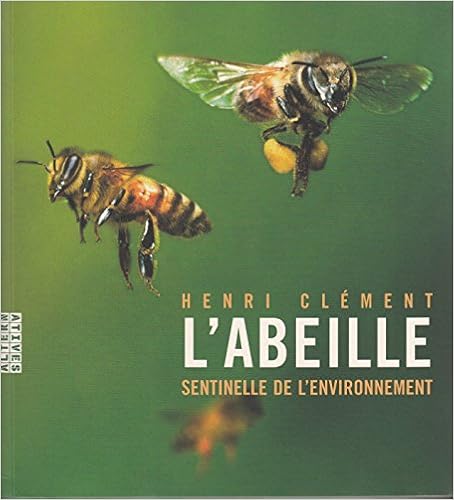 abeille-sentinelle-de-l-environnement