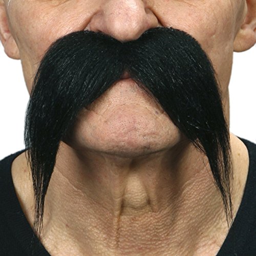 Kung-fu master mustache