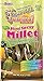 F.M. Brown's Tropical Carnival Natural Mini Spray Millet Foraging Treat for Canaries, Finches, Parakeets, Cockatiels, and Parrots, 4-oz Bag - USA Grown and Harvested