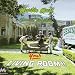 Martin Mull Licks Off Of Records