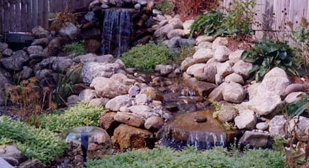 Watergardening How-to-Video - VHS By Aquascape Designs (limited quanities)