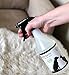 NonScents Pet Odor Remover Spray – Veterinarian Developed Urine & Poop Odor Eliminator with NO Masking Fragrance, 24oz