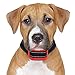 Our K9 Training Made Easy - Bark Collar for Small Dogs Using Sound & Vibration or Ultrasonic & Vibration. 100% Pain-Free - 100% Safe (Small - Medium - Large, Dark Red)