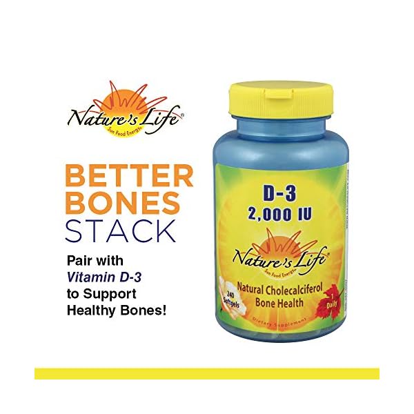 Natures Life Magnesium 500mg High Potency Magnesium Supplement Plus