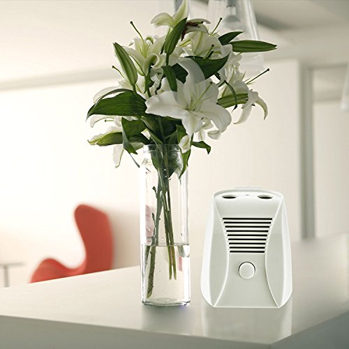 PowMax PE007 Ivation Ozone Air Purifier EP202,Commercial Air Ozone Generator & Air Purifier Natural Odour Remover Ionizer & Deodorizer Great for Dust, Pollen, Pets, Smoke & More - Thumbnail 2