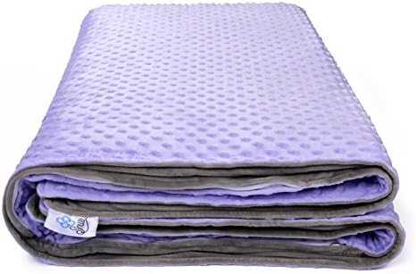 Premium XL 12lb 60x80" Weighted Blanket with Removable Washable Minky Cover. Suitable for Adults &amp; Children with OCD, ADHD, Autism, Aspergers, PTSD, Depression, Insomnia &amp; Anxiety, (Purple/Gray)