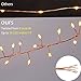 Cluster  String Lights 10FT 300LEDs,Homestarry Decorative Wreaths  Lights with Dimmable Remote Control and Outdoor/ Indoor Waterproof Copper Wire Fairy lights Christmas String Lights (Warm White)