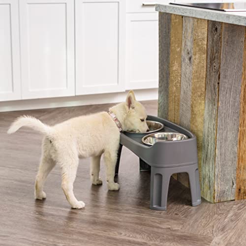 IRIS USA Large Elevated Pet Feeder with Attachable Legs and 2 Stainless