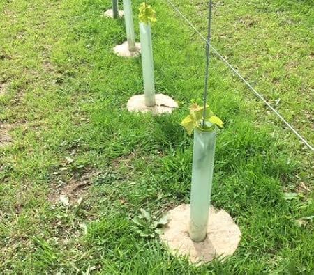 Alfombras de mantillo / polainas para árboles 35cm paquete de 10 ...