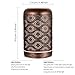 260ml Essential Oil Diffuser, ARVIDSSON Metal Aromatherapy Diffusers for Essential Oils, 7 Colors Changing Light & Whisper-Quiet