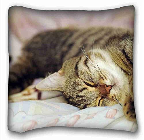 Decorective Pillow As Gift Custom ( Animals Cat Bed Fluffy ) Pillowcase Standard Size 16"X16" Design Pillow Case Cover Suitable For California King-Bed