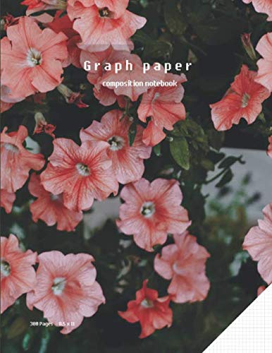 Graph Paper Composition Notebook 8.5 X 11: Journal Composition Notebook Set Graph Paper Pad , Quad Ruled Small Grid Gray Lined For Kids , Student , ... Size 8.5 X 11 , 100 Sheets , 200 Pages Vol 8