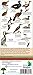 Peru Birds (Laminated Foldout Pocket Field Guide) (English and Spanish Edition)