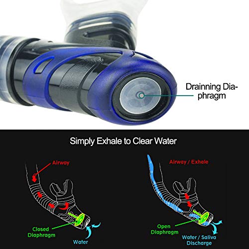 image for WACOOL Snorkeling Package Set for Adults, Anti-Fog Coated Glass Diving