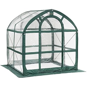 Flower House FHSP300CL SpringHouse Greenhouse, Clear