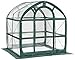 Flower House FHSP300CL SpringHouse Greenhouse, Clear