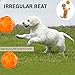 ACEONE Dog Squeaky Ball, Durable Pet Squeak Chew Bouncy Rubber Toy Balls for Small Large Dogs Indestructible Exercise Training Playing (2 Balls)
