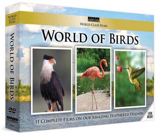 World Class Films World Of Birds