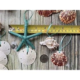 Beach Seashell and Starfish Christmas Tree Ornament Package (Standard Seashell Package) 515IBQ4yPlL