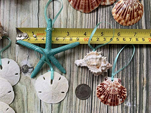 515IBQ4yPlL 515IBQ4yPlL