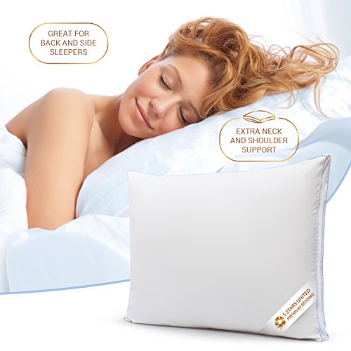 Queen Size Bed Pillows for Sleeping 20x30, 2Pack Gusseted Edge