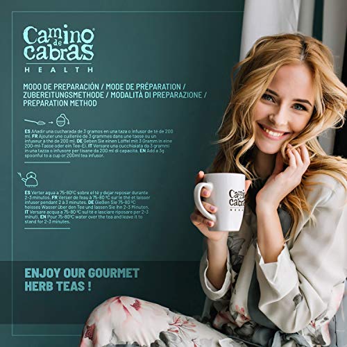 DETOX TEE zum Abnehmen Schnell & Fettverbrenner - Kräutertee - Grüner Tee Lose, Löwenzahn, Kurkuma, Ingwer, Goji beeren… – Bild 6