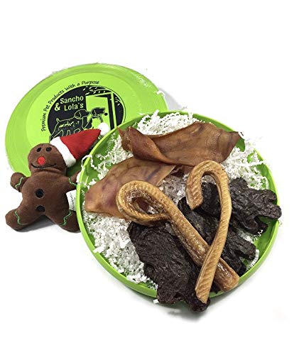 Sancho & Lola's Natural Chews Set: 2 Pig Ear Halves, 2 Petite Candy Cane Steer Bully Sticks, 6 Lil' Buddy Beef Treats Packed in Red or Green Flying Disc - Made in USA