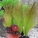 Smarlin Aquarium Plants Decoration, Artificial Plants for Fish Tank, 2 Pack (8.3 inches)