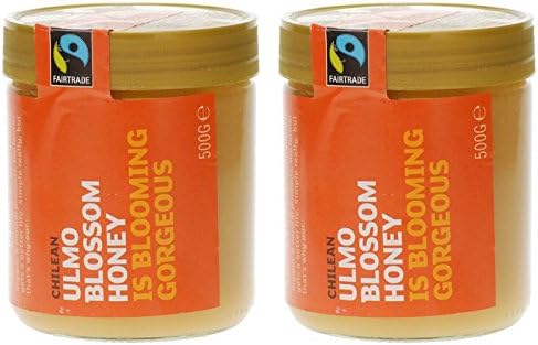 (2 Pack) - Equal Exchange - Chilean Ulmo Blossom Honey FT | 500g | 2 PACK BUNDLE