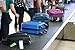 Adventurologist Luggage Tags (2 Pack)