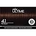 Schwarzkopf Color Ultime Hair Color Cream, 4.1 Rich Brown