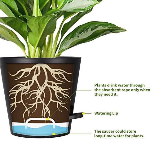 SPEPLA 8 Inch Self Watering pots for Indoor, 6 Pack Plastic Plant Pots